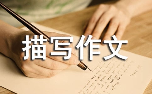 (通用)環(huán)境描寫作文