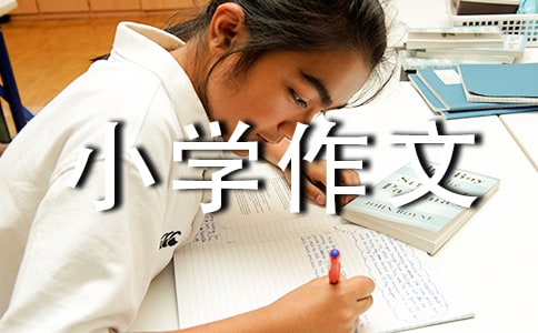 ����С�W(xu��)���Ĵ�ȫ[8ƪ]