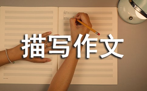 ���õ�С�u�茑������ƪ